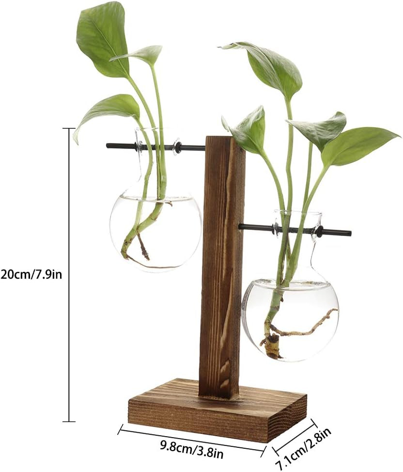 Hydroponic Vase Water Propogating Vase Station Plant Terrarium with Wooden Stand Air Planter Bulb Glass Vase Desktop Planter Glass Bulb Vase Retro Hanging Plant Glass Vase Home Decor