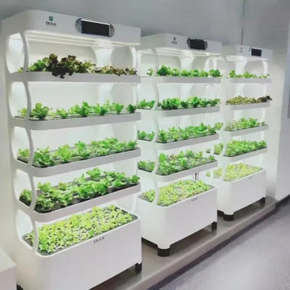 Home Hydroponic Growing Systems Indoor Smart Garden Hydroponic